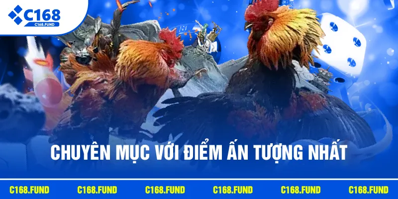 Chuyên mục với điểm ấn tượng nhất