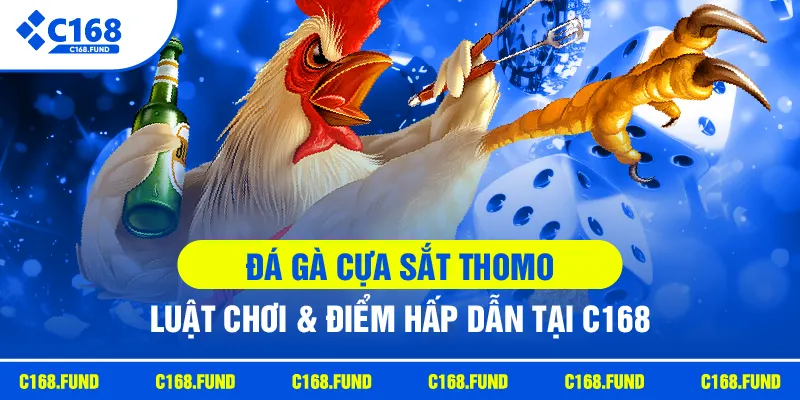Đá Gà Cựa Sắt Thomo | Luật Chơi & Điểm Hấp Dẫn Tại C168
