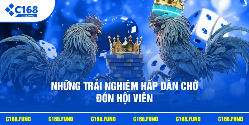 Những trải nghiệm hấp dẫn chờ đón hội viên